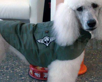 Alpha MA-1 Bomberjacke für Hunde