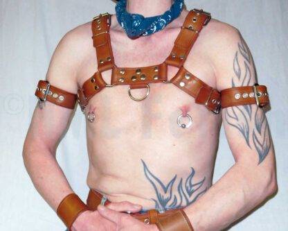 Bulldog-Harness brown