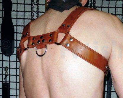 Bulldog-Harness brown