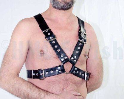 Top-Harness with buckles