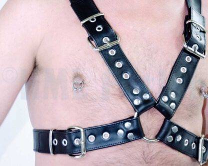 Top-Harness with buckles