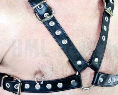 Top-Harness with buckles