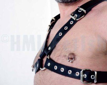 Top-Harness with buckles