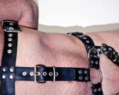 Leather Restraint-Harness