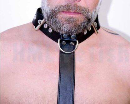 Leather Restraint-Harness