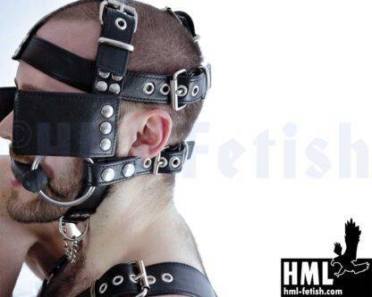 Pony-Harness