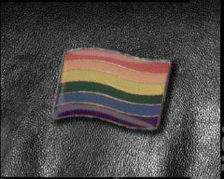 Broche gay pride 26 x 15 mm